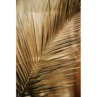Tablou din sticlă imprimat 80x120 cm Gold Palm – Styler