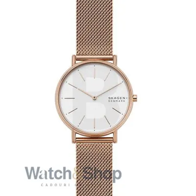 Ceas Skagen Signatur Slim SKW2784