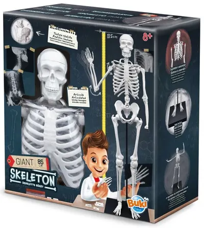 Set educațional Buki France - Schelet uman, 85 cm