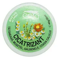 Unguent cicatrizant, 40g - CETA