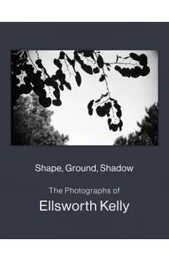 Shape, Ground, Shadow: The Photographs of Ellsworth Kelly