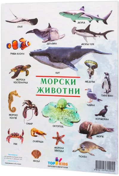 Top Kids Knowledge Board - Animale marine