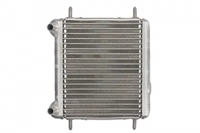 Radiator motor (Automat Manual) potrivit MERCEDES E (W211) 4.0D