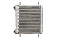 Radiator motor (Automat Manual) potrivit MERCEDES E (W211) 4.0D