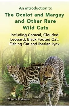 An introduction to The Ocelot and Margay and Other Rare Wild Cats Including Caracal, Clouded Leopard, Black Footed Cat, Fishing Cat and Iberian Lynx