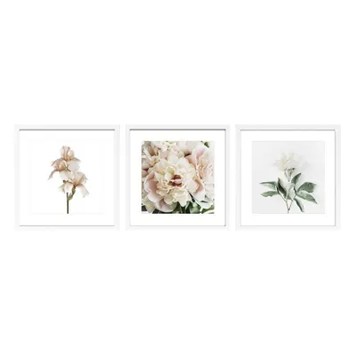 Tablouri cu ramă 3 buc. imprimate 30x30 cm Posy – Styler