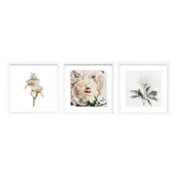 Tablouri cu ramă 3 buc. imprimate 30x30 cm Posy – Styler