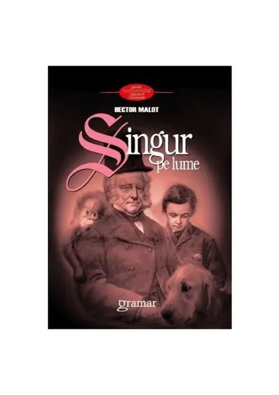 Singur pe lume - Paperback - Hector Malot