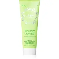 Lumene Nordic Clear [TYYNI] spuma de curatare pentru ten gras si problematic