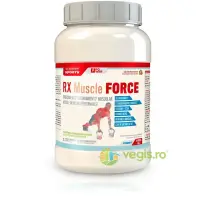 RX Muscle Force - Complex Post-Workout cu Creatina, Proteine, Carbohidrati, B-Complex, 7 Minerale, Colagen Hidrolizat, BCAA, Beta-Alanina si Enzime Digestive 1800g