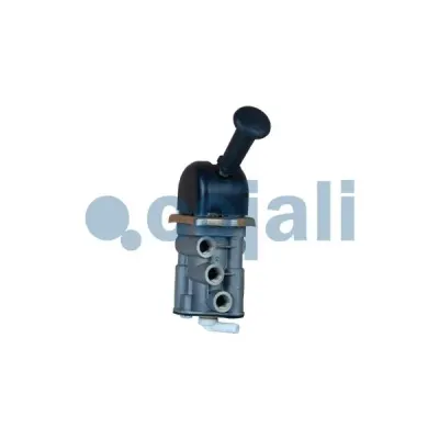 Cojali 2224424