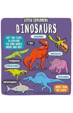 Little Explorers: Dinosaurs