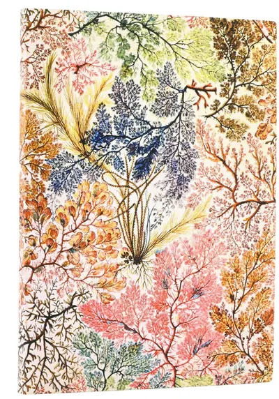 Agenda Paperblanks Anemone - Midi, 88 foi, copertă moale
