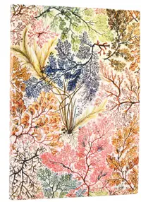 Agenda Paperblanks Anemone - Midi, 88 foi, copertă moale