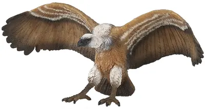 Figurina Papo Wild Animal Kingdom – Vultur