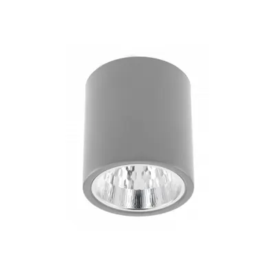 Spot - Ceiling fixture DRAGO, max 60W, E27, AC220-240V, 50-60Hz, IP20, 133 * 148mm, gray