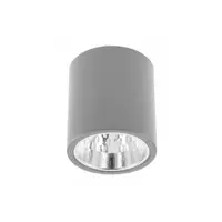 Spot - Ceiling fixture DRAGO, max 60W, E27, AC220-240V, 50-60Hz, IP20, 133 * 148mm, gray