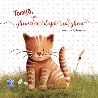 Tomiță, un ghemotoc după un ghem - Hardcover - Andrea Reitmeyer