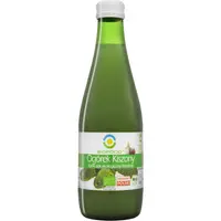 Suc de Castraveti Lactofermentati Ecologic/Bio 300ml