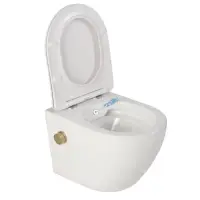Vas wc suspendat cu functie bideu, semirotund, rimless, apa calda rece, capac soft close, baterie auriu mat Foglia Oslo