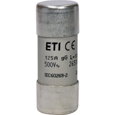 Siguranta CH22x58 gG 125A/500V 002651051