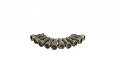 Set suruburi volanta AUDI TT; FORD GALAXY; SEAT ALHAMBRA; VW BORA, GOLF IV, SHARAN 2.3 2.8 3.2 intre 1999-2010