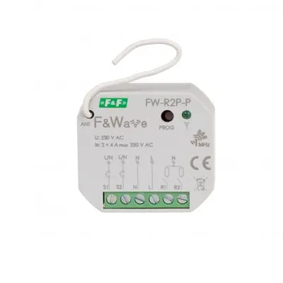 Fw-R2p-P
