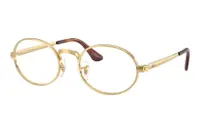 Ray-Ban A$AP Rocky Collection RX3931V 2500
