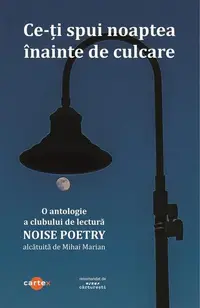 Ce-ți spui noaptea înainte de culcare - Paperback brosat
