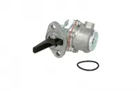 Pompa combustibil potrivit MWM potrivit FENDT 300; RENAULT 800, XX-12, XX-14, XX-52 BF4M1012-TD226B-4 01.74-