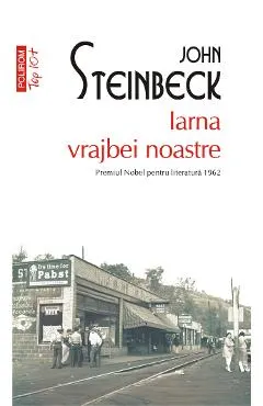 eBook Iarna vrajbei noastre
