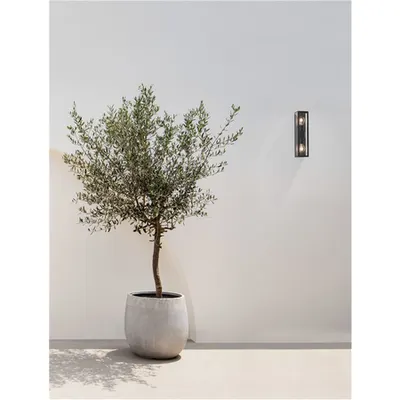 Aplica REGINA Anthracit Aluminiu Aluminiu turnat & Sticla clara LED E27 2x12 Wat 220-240 Volt Fara bec IP54