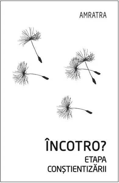 Incotro? Etapa constientizarii