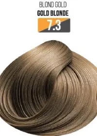 Vopsea Profesionala Fara Amoniac EVOQUE USA, Nuanta 7.3 GOLD BLONDE - Cu Ulei de Argan si 12 Aminoacizi, 100 ml - Evoque