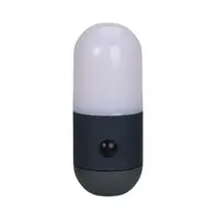 Lampă camping cu 3 intensităti de lumină, 8 x LED, Redcliffs, culoare antracit
