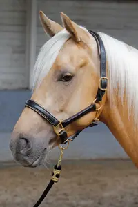 Zăbala din piele Harry's Horse cu detalii elegante