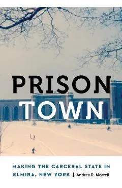 Prison Town: Making the Carceral State in Elmira, New York