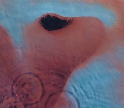 Meddle [2011 - Original Recording Remastered]