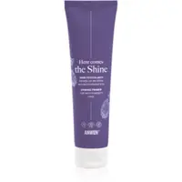 Anwen Here Comes The Shine Shining Primer For High Porosity Hair baza pentru machiaj pentru păr