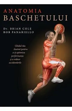 eBook Anatomia baschetului