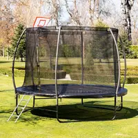 Trambulină mare Chipolino - Basketball, cu scară, 305 cm