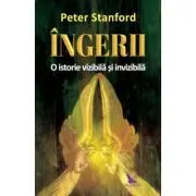 Ingerii. O istorie vizibila si invizibila