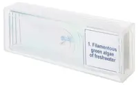 Set de micropreparate Levenhuk - Discovery Prof DPS 5/Biologie