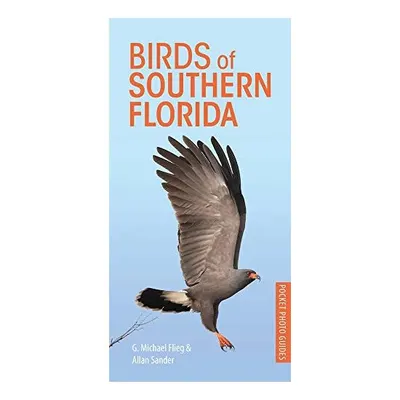 Birds of Southern Florida