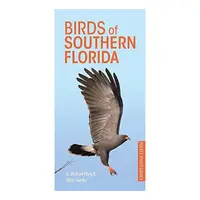 Birds of Southern Florida