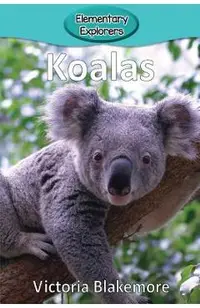 Koalas