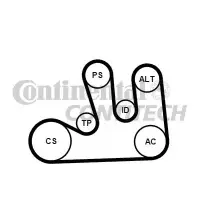 Set curea transmisie cu caneluri CONTITECH 5PK1750K1