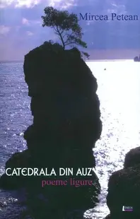 Catedrala din auz (ediția a II-a revăzută și adăugită) - Paperback brosat - Mircea Petean
