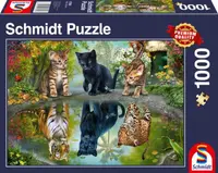 Puzzle Schmidt din 1000 de piese - Visează îndrăzneț!