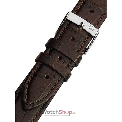 Curea (bratara) ceas Morellato A01X2269480032CR14 Maro 14mm